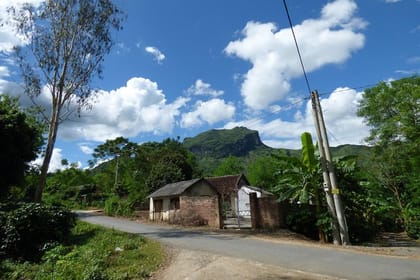 Hanoi – Cuc Phuong National Park 1 day with lunch