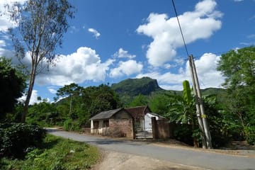 Full-Day Tour of Cuc Phuong National Park from Hanoi
