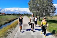 Walking through the island