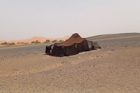 Merzouga Desert ATV Adventure: Explore Sahara Dunes with a Guide