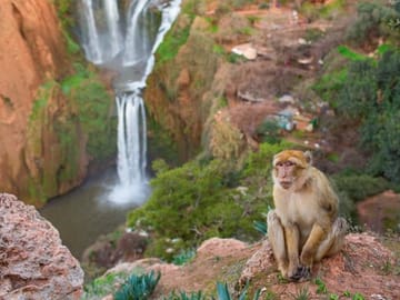 Private Day Trip to Ouzoud Waterfalls from Marrakech