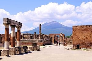 Day Trip of Pompeii, Herculaneum and Vesuvius from Naples