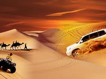 Desert Safari with BBQ Dinner