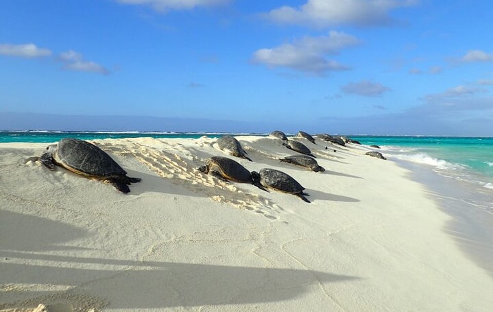 Private Circle Island Tour Across Oahu Paradise