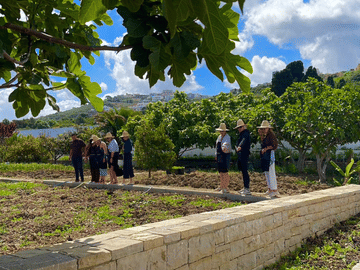 Plant It & Taste It : Garden Workshop & Traditional Moroccan Tea