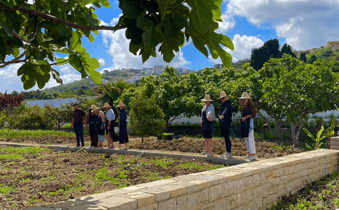 Plant It & Taste It : Garden Workshop & Traditional Moroccan Tea