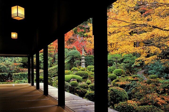 Sanzen-in & Enryaku-ji Day Tour from Kyoto