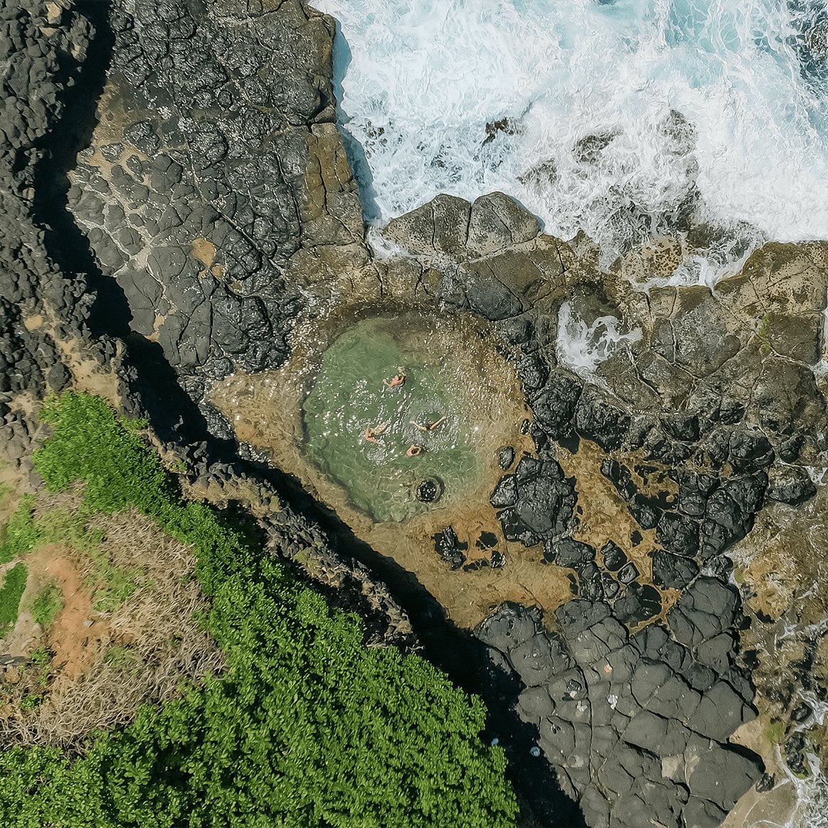 Wild South Cliff & Forest Hike