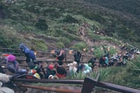 Hikking/Trekking to Adam's peak and Wilderness sanctuary. 7