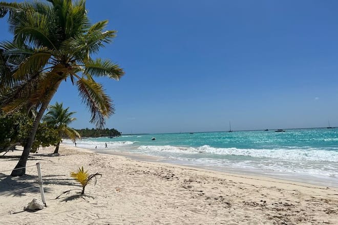 Saona Island Full Day Tour with Buffet Lunch, Paella, & Open Bar 6
