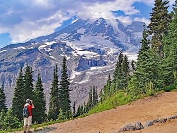 Guided Day Tour of Mt. Rainier National Park from Bellevue
