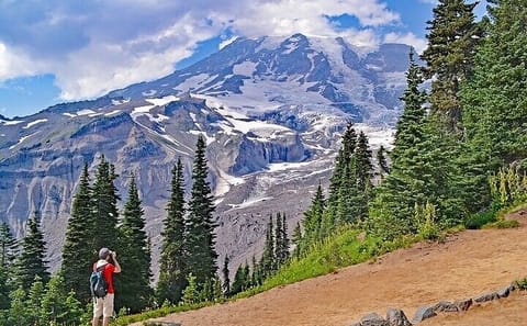 Guided Day Tour of Mt. Rainier National Park from Bellevue