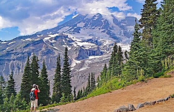 Explore Mt. Rainier National Park with a Local Guide