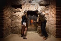 Small-Group Half Day Tour to Concha y Toro Winery 6