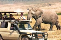 Samburu game drive