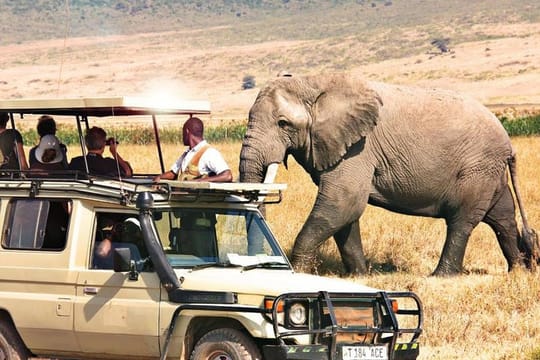 3 Days Samburu Wildlife Luxury Safari on 4x4 Land Cruiser Jeep
