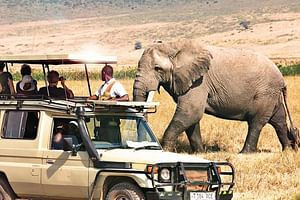 Private 3 Days Samburu National Park Safari All Inclusive