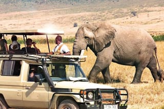 3 Days Samburu Wildlife Luxury Safari on 4x4 Land Cruiser Jeep