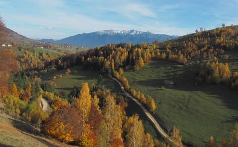 Guided 2-Day Trek in Piatra Craiului National Park from Brașov