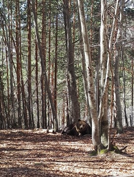Eco Park Geranea Self-Guided