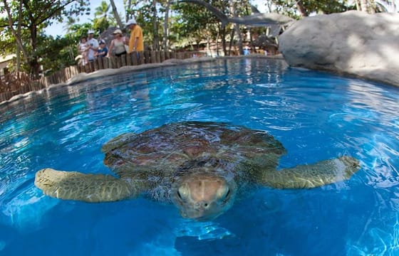 Tour Praia do Forte and Guarajuba, Leaving Salvador-Bahia.