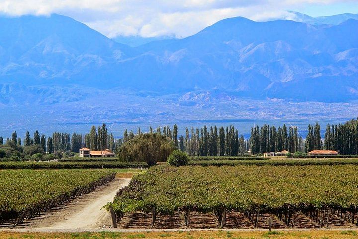 Luxury Salta Tour: Wine Tasting, Stunning Landscapes & Cultural Heritage