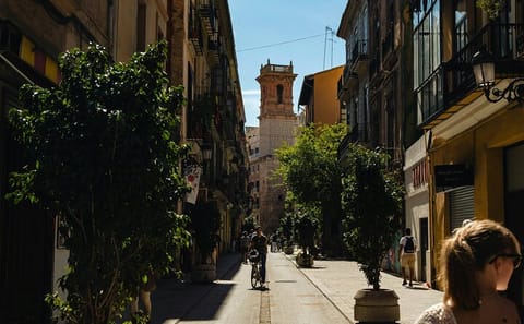 Private Cultural Tour from Barcelona to Valencia
