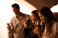 Small-Group Half Day Tour to Concha y Toro Winery 1