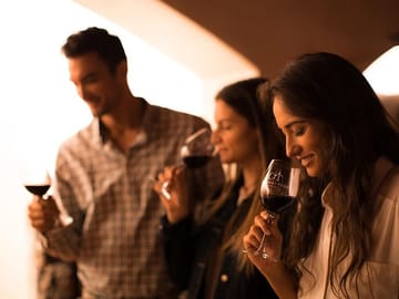 Small-Group Half-Day Wine Tour at Concha y Toro Winery