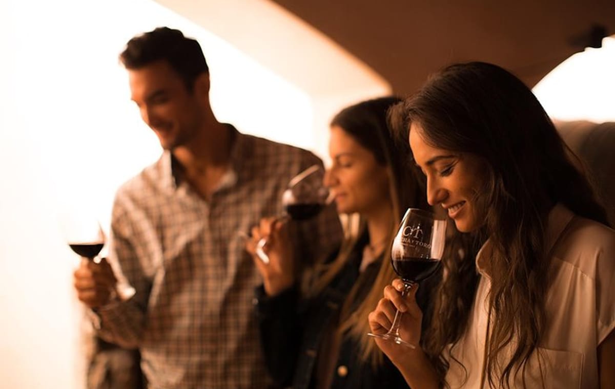 Small-Group Half Day Tour to Concha y Toro Winery