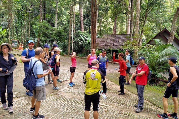 Chiang Mai 7-Hour Doi Suthep National Park Summit Hiking