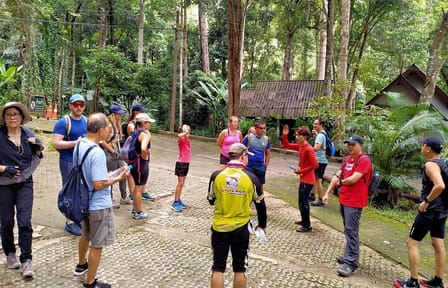 Chiang Mai 7-Hour Doi Suthep National Park Summit Hiking