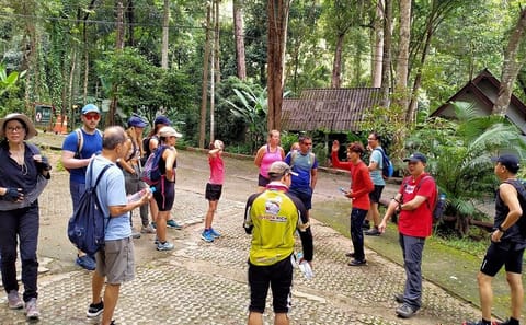 Hiking Tour to Doi Suthep Summit in Chiang Mai National Park