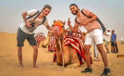 Red Dunes Safari Adventure with BBQ Dinner in Dubai