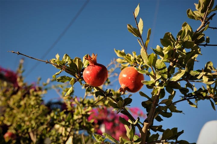 Santorini 5 Hour Custom Private Sightseeing Tour