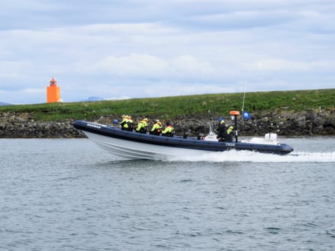 Puffin Express by RIB Speedboat, photo 5
