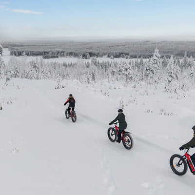 Electric Fat Biking at a Reindeer Farm in Rovaniemi - Image 17