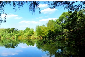 Xixi Wetland National Park Eco-Tour and Boat Ride in Hangzhou