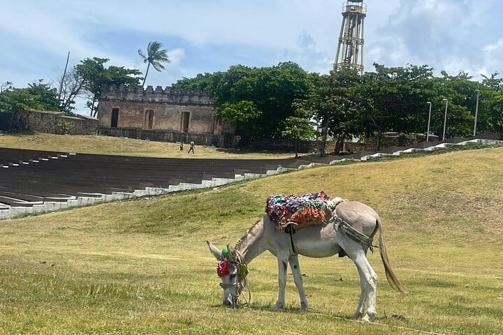 Combo : ATV Adventure with City Tour in Puerto Plata