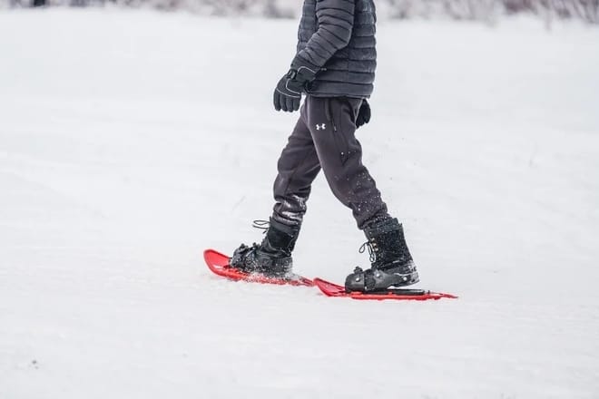 Full Day Nieve 2