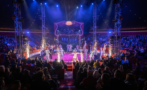 S4HT Kids Club: 15 Countries, 12,000 Steps – The Ultimate Summer Journey at Europa-Park, the Best Theme Park in Europe