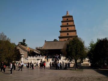 Terra-cotta Warriors and Giant Panda 3 Days 2 Nights Trip