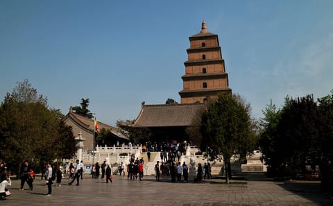 Terra-cotta Warriors and Giant Panda 3 Days 2 Nights Trip