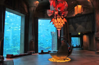Dubai Atlantis Aquaventure Water Park with Lost Chambers Tickets 6