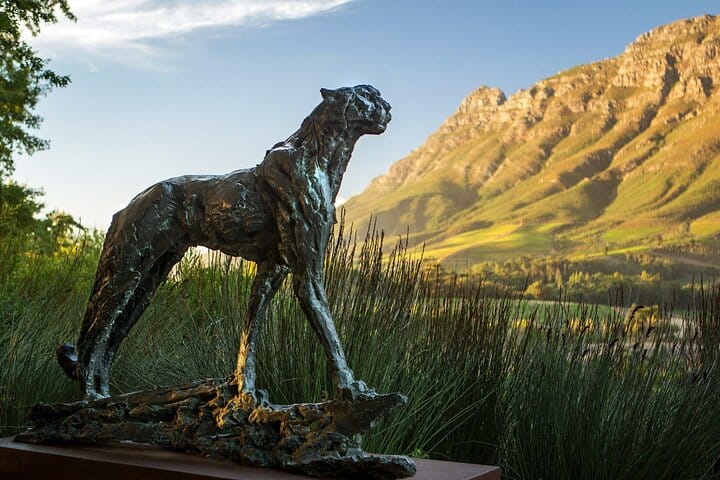 South Africa Cape Winelands Full Day Private Tour 8