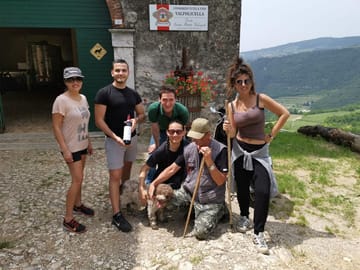 Truffle Hunting and Amarone Wine Tasting in Marano di Valpolicella