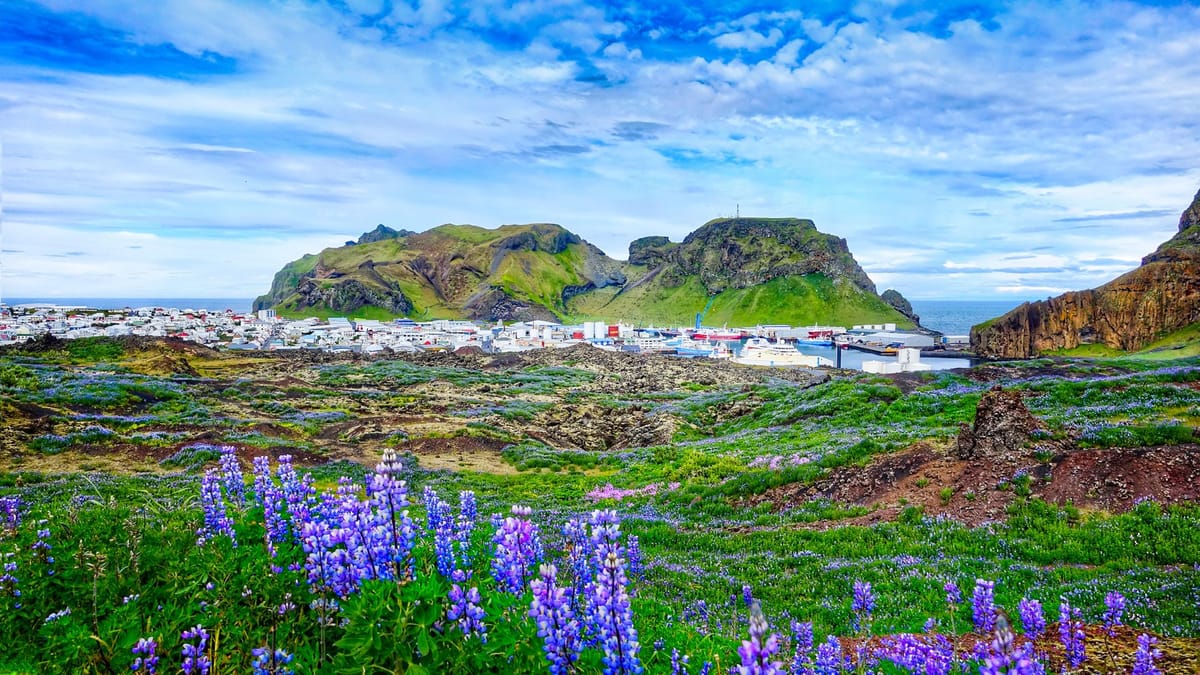 Private Westman Islands Day Tour