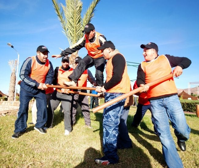 Team Building: Fighter's Course, Labyrinth & Mobile Bridge 3