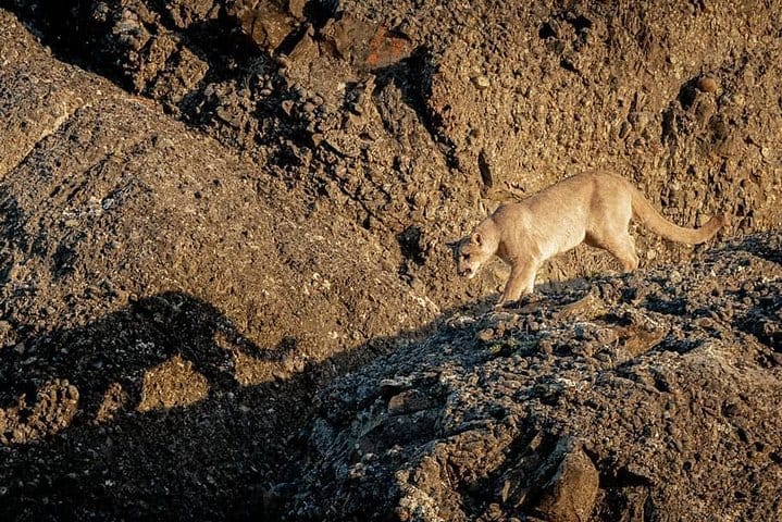 4-Day Atacama Desert Experience with Hotel, Tours & Meals