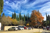 2-Days Premium Tour to Kakheti 5
